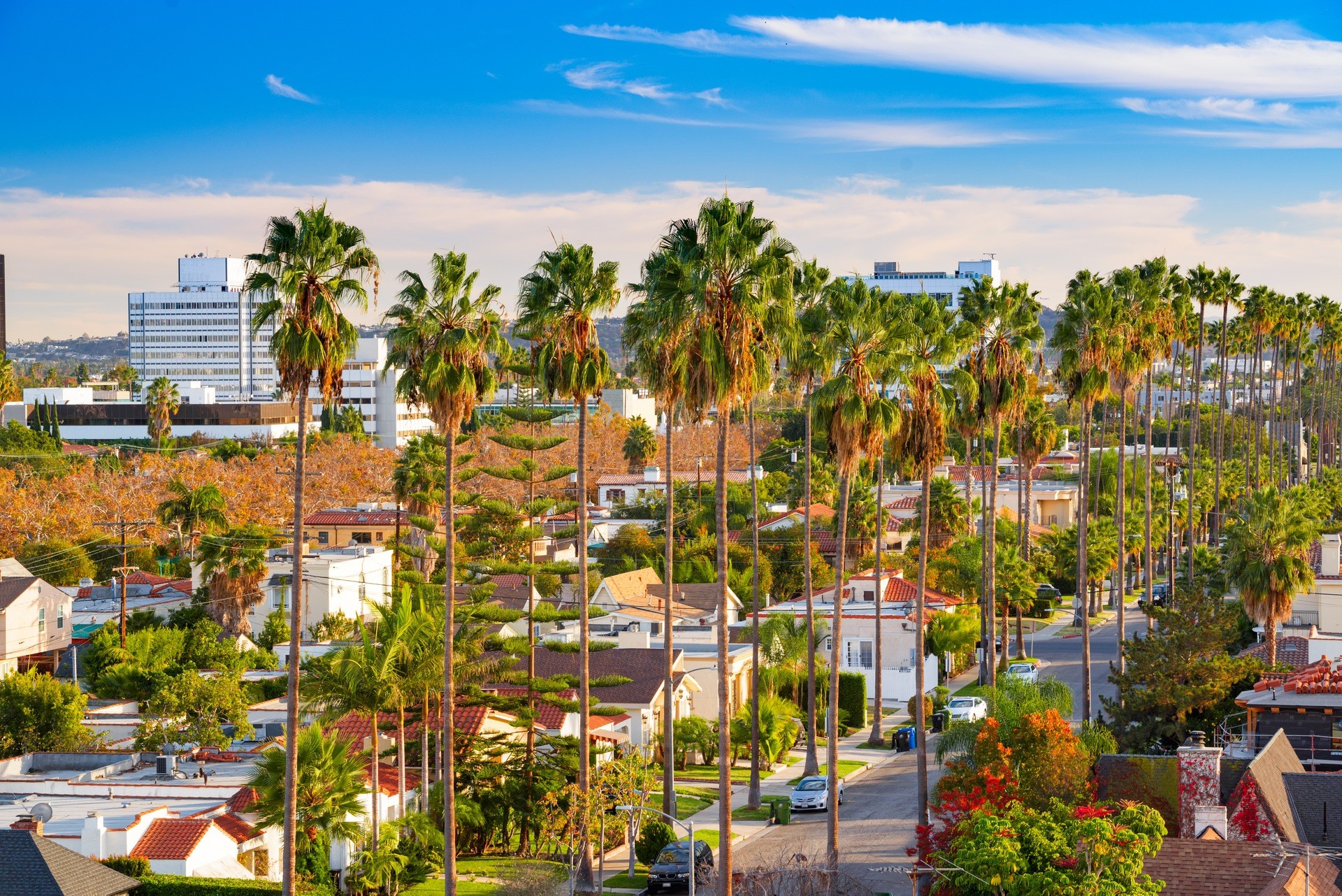 Palm Springs basking in buzz from Louis Vuitton show