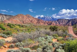 Washington, UT Private Jet and Air Charter Flights