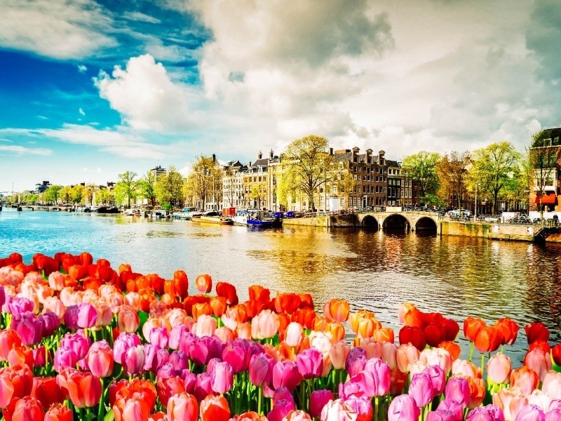 Netherlands Private Jet and Air Charter Flights