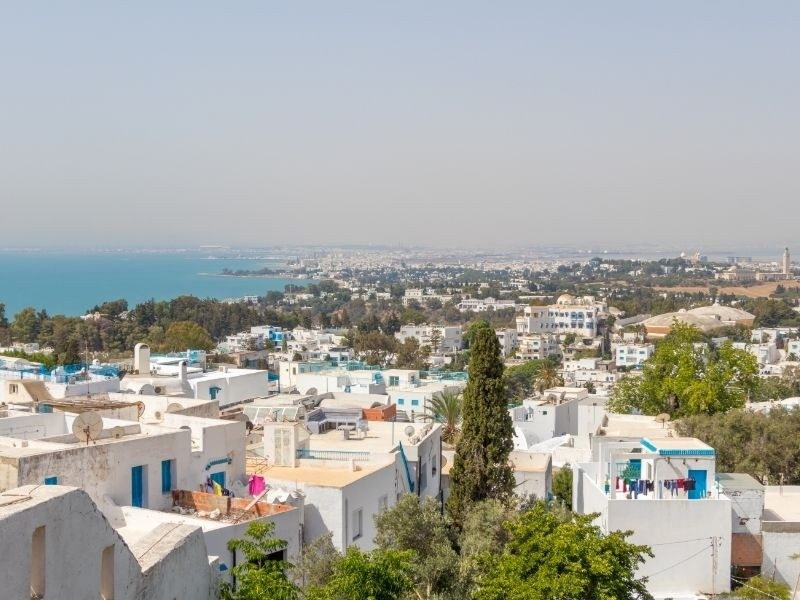 Tunis Private Jet and Air Charter Flights