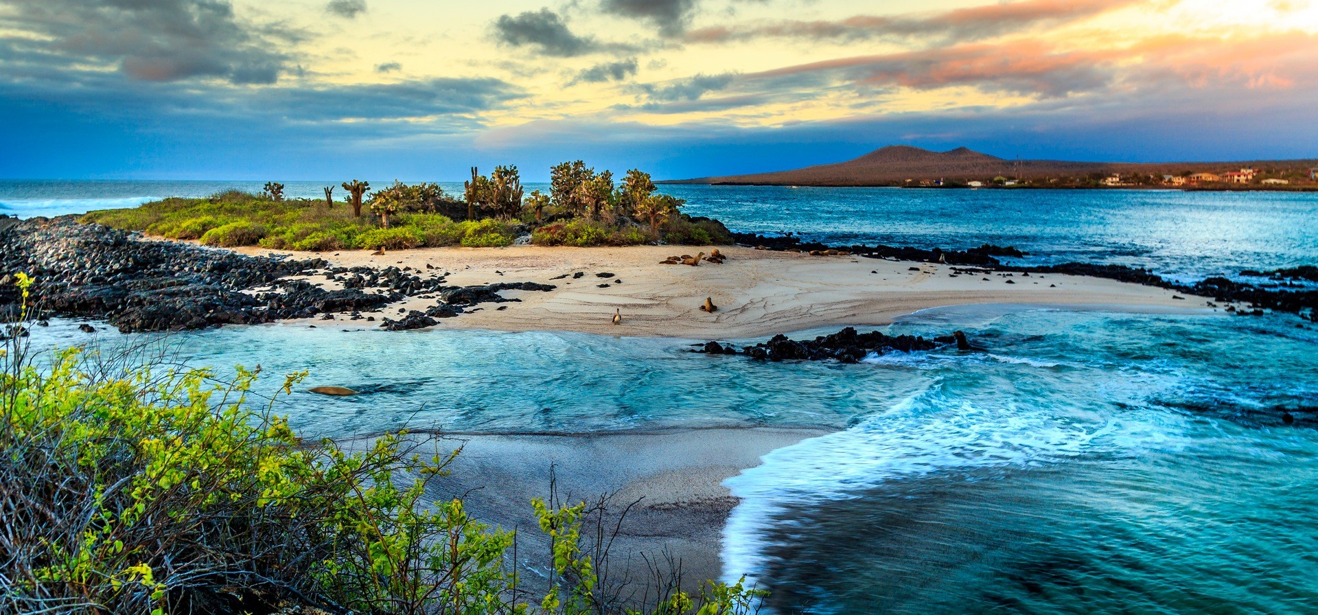 Galapagos Private Jet Air Charter Flights