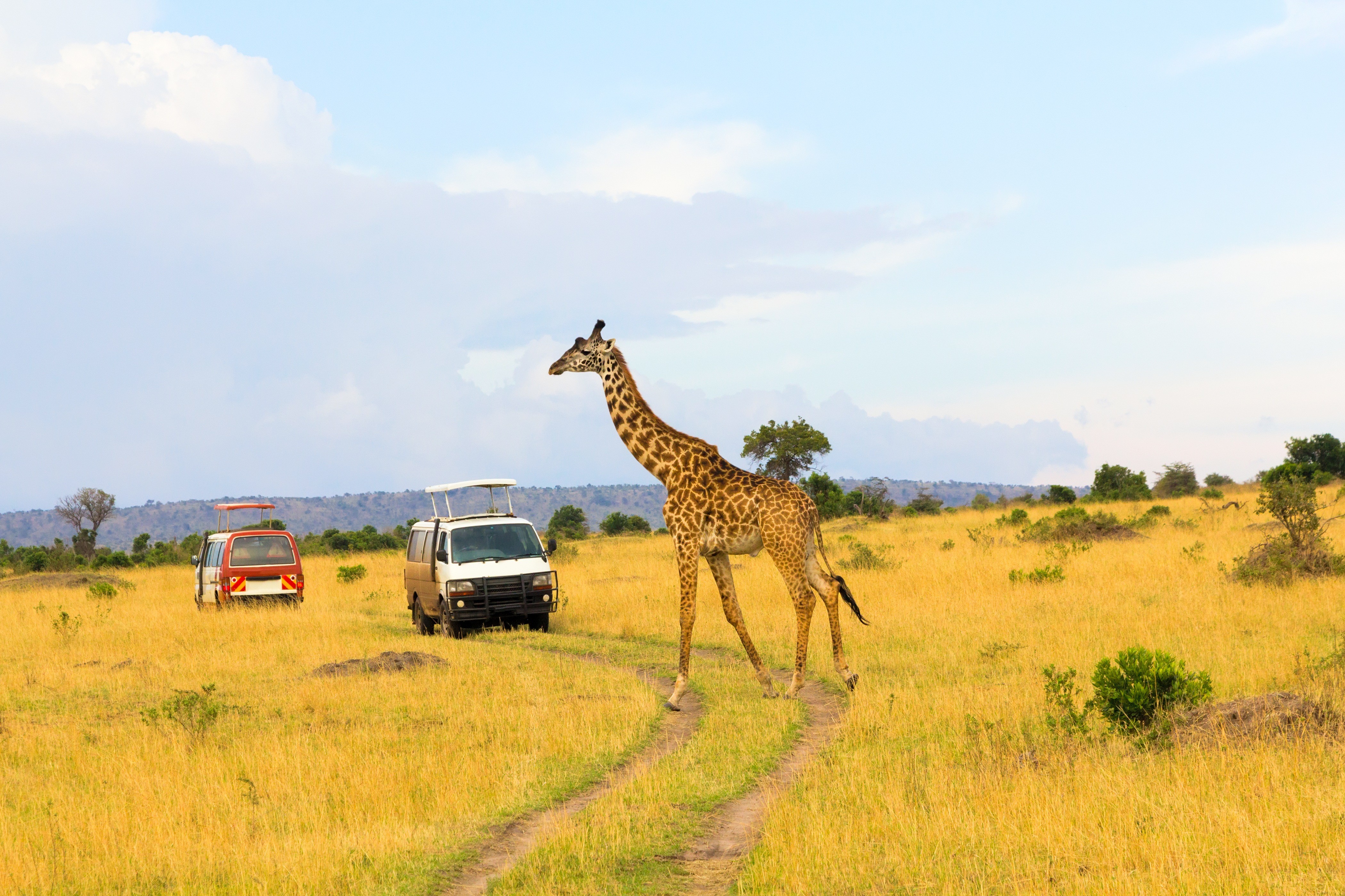 Maasai Mara Private Jet and Air Charter Flights