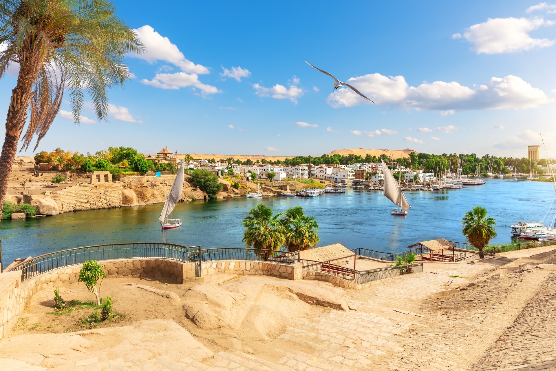 Aswan Private Jet and Air Charter Flights